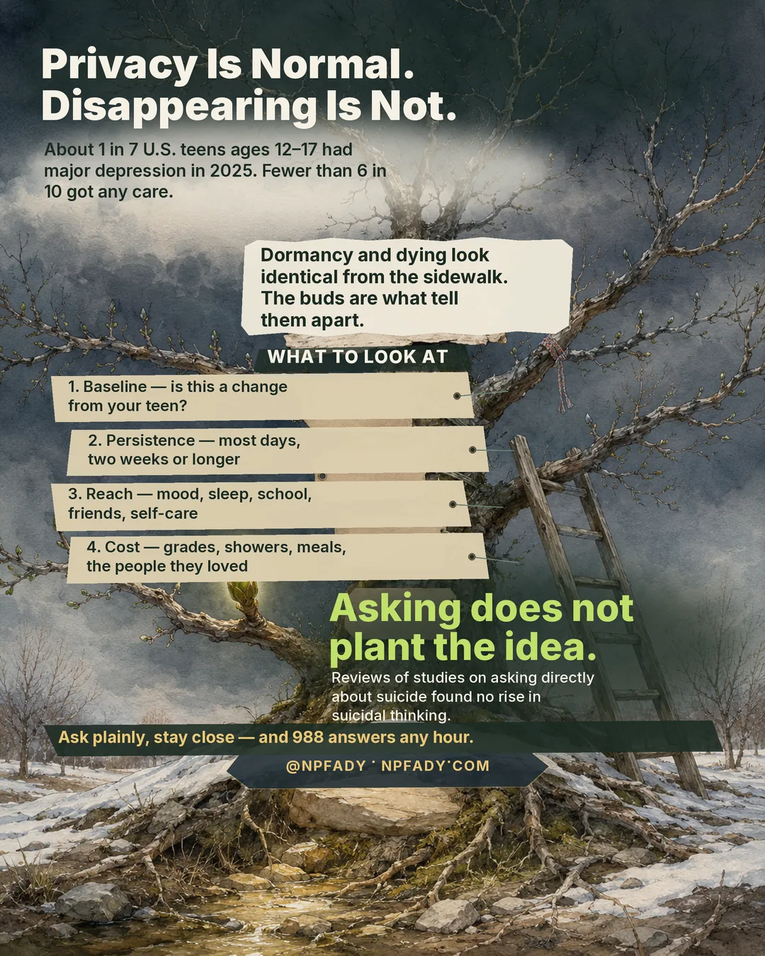 Infographic titled Privacy Is Normal. Disappearing Is Not. A winter watercolor of a bare tree holding a wooden treehouse platform, with a ladder against the trunk, snow on the ground, and a few early green buds glowing on the branches. An opening statistic reads: about 1 in 7 U.S. teens ages 12 to 17 had major depression in 2025; fewer than 6 in 10 got any care. A torn-paper note reads: dormancy and dying look identical from the sidewalk — the buds are what tell them apart. Four wooden signs under the heading What to look at: one, baseline — is this a change from your teen; two, persistence — most days, two weeks or longer; three, reach — mood, sleep, school, friends, self-care; four, cost — grades, showers, meals, the people they loved. Large green text reads Asking does not plant the idea: reviews of studies on asking directly about suicide found no rise in suicidal thinking. A banner reads: ask plainly, stay close — and 988 answers any hour. At npfady, npfady.com.
