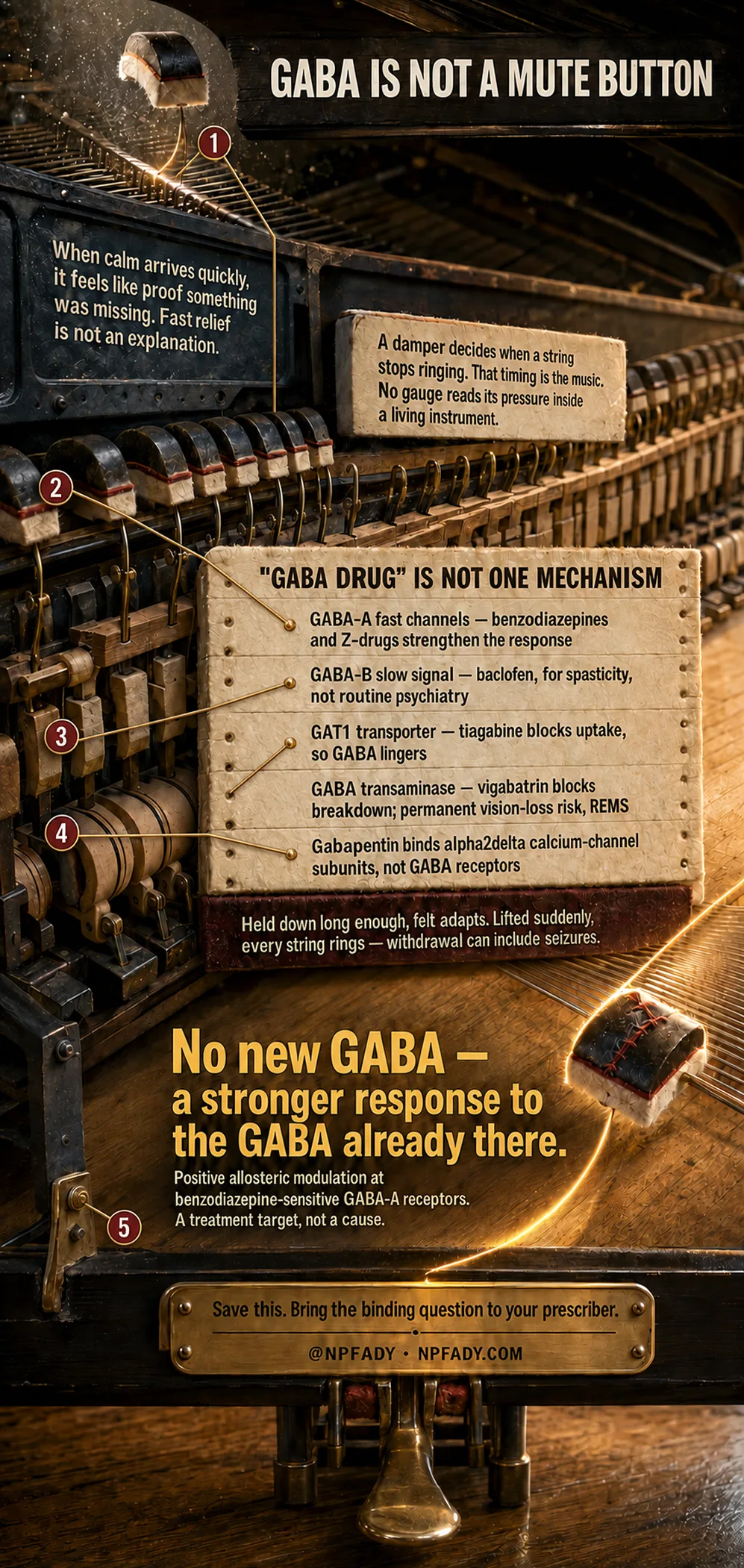 Infographic drawn as the inside of a grand piano, where felt dampers rest on strings and a single lifted damper releases a glowing thread of light. Text reads: GABA is not a mute button. When calm arrives quickly, it feels like proof something was missing. Fast relief is not an explanation. A damper decides when a string stops ringing. That timing is the music. No gauge reads its pressure inside a living instrument. A panel titled GABA drug is not one mechanism reads: GABA-A fast channels, benzodiazepines and Z-drugs strengthen the response. GABA-B slow signal, baclofen, for spasticity, not routine psychiatry. GAT1 transporter, tiagabine blocks uptake, so GABA lingers. GABA transaminase, vigabatrin blocks breakdown; permanent vision-loss risk, REMS. Gabapentin binds alpha-2-delta calcium-channel subunits, not GABA receptors. A red strip reads: held down long enough, felt adapts. Lifted suddenly, every string rings, withdrawal can include seizures. Large text reads: No new GABA, a stronger response to the GABA already there. Positive allosteric modulation at benzodiazepine-sensitive GABA-A receptors. A treatment target, not a cause. The base reads: save this, bring the binding question to your prescriber, at NPFADY, NPFADY.com.