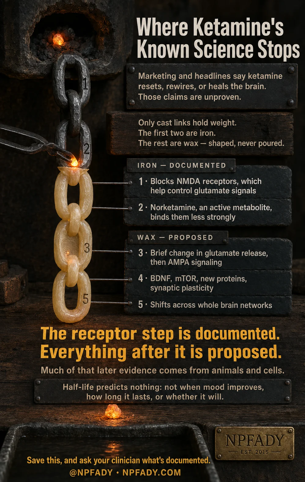 Infographic titled Where Ketamine's Known Science Stops, staged in a dark blacksmith's forge with a glowing coal fire, tongs, and a quenching trough. A hanging chain of five links runs down the left side: the top two links are forged iron, and the lower three are translucent wax, shaped but never poured. A panel at the top reads: marketing and headlines say ketamine resets, rewires, or heals the brain, those claims are unproven. A second panel reads: only cast links hold weight, the first two are iron, the rest are wax, shaped, never poured. A section headed IRON — DOCUMENTED lists two items wired to the two iron links. One, blocks NMDA receptors, which help control glutamate signals. Two, norketamine, an active metabolite, binds them less strongly. A section headed WAX — PROPOSED lists three items wired to the three wax links. Three, brief change in glutamate release, then AMPA signaling. Four, BDNF, mTOR, new proteins, synaptic plasticity. Five, shifts across whole brain networks. Beneath the chain, large amber type reads: the receptor step is documented, everything after it is proposed. A line below adds: much of that later evidence comes from animals and cells. A final plate reads: half-life predicts nothing, not when mood improves, how long it lasts, or whether it will. At the base, save this and ask your clinician what's documented, with a brass plaque reading NPFADY, established 2015, and the line at NPFADY, NPFADY.com.