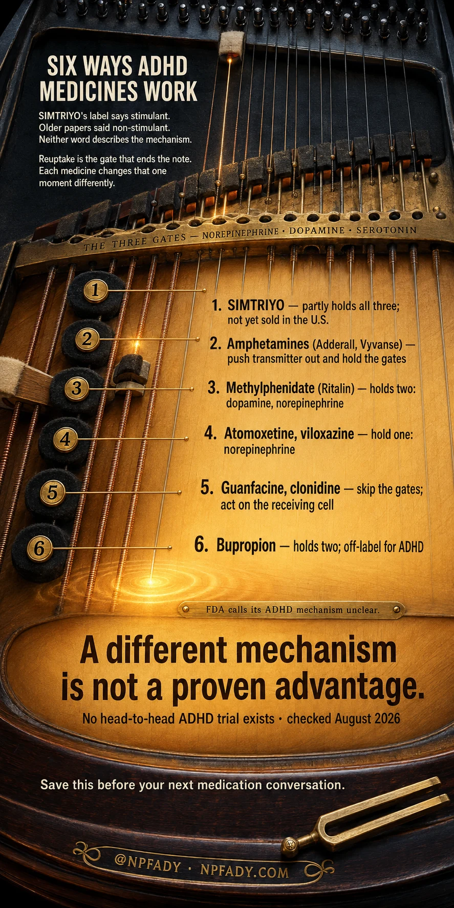 Infographic titled Six Ways ADHD Medicines Work, staged on a hammered dulcimer photographed from above, with a lit string running down the soundboard. The opening note reads: SIMTRIYO's label says stimulant, older papers said non-stimulant, neither word describes the mechanism. A second note reads: reuptake is the gate that ends the note, and each medicine changes that one moment differently. Along the instrument's bridge runs the line, the three gates — norepinephrine, dopamine, serotonin. Six numbered tuning pegs connect by wire to six entries. One, SIMTRIYO — partly holds all three, not yet sold in the U.S. Two, amphetamines such as Adderall and Vyvanse — push transmitter out and hold the gates. Three, methylphenidate such as Ritalin — holds two, dopamine and norepinephrine. Four, atomoxetine and viloxazine — hold one, norepinephrine. Five, guanfacine and clonidine — skip the gates and act on the receiving cell. Six, bupropion — holds two, off-label for ADHD. A small brass plaque near the sound hole reads, FDA calls its ADHD mechanism unclear. The closing panel across the instrument's body reads in large type, a different mechanism is not a proven advantage, above the line, no head-to-head ADHD trial exists, checked August 2026. At the base, save this before your next medication conversation. At NP Fady, npfady.com.