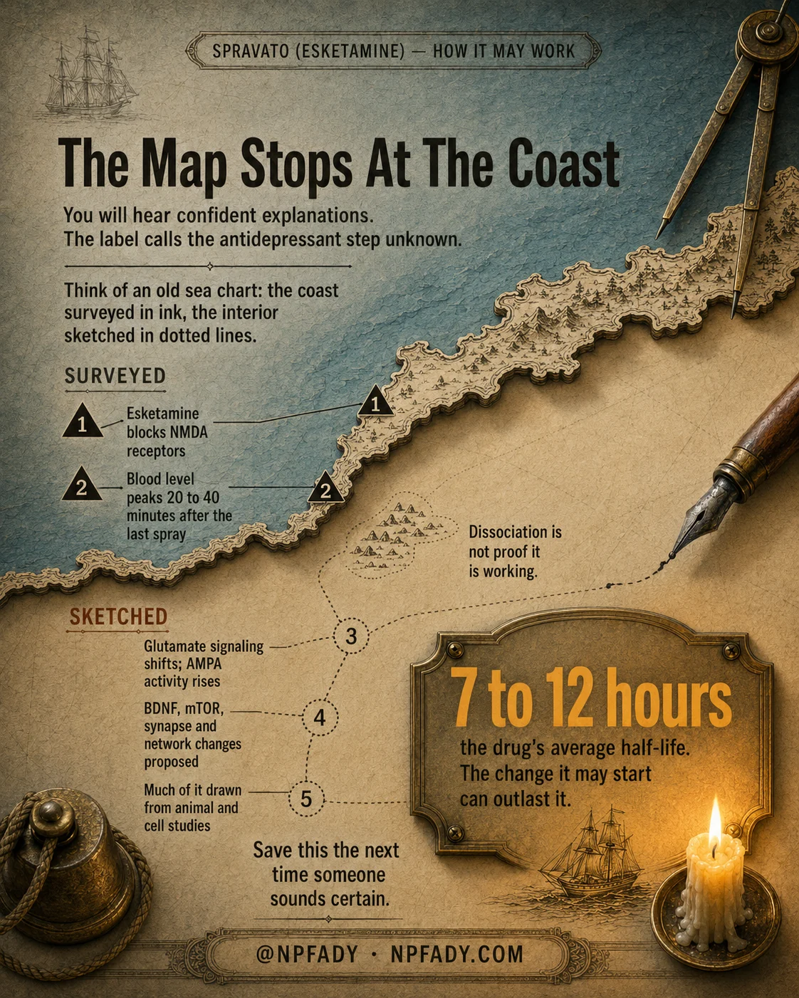 Infographic titled The Map Stops At The Coast, staged as an antique sea chart on aged parchment with a brass compass, a fountain pen, a ship's bell, and a lit candle resting on it. An eyebrow at the top reads, Spravato, esketamine, how it may work. Beneath the title a deck reads: you will hear confident explanations, the label calls the antidepressant step unknown. A line below reads, think of an old sea chart, the coast surveyed in ink, the interior sketched in dotted lines. A section headed SURVEYED lists two items keyed to solid triangles drawn on the inked coastline. One, esketamine blocks NMDA receptors. Two, blood level peaks 20 to 40 minutes after the last spray. An aside in the middle of the chart reads, dissociation is not proof it is working. A second section headed SKETCHED lists three items keyed to dotted circles drawn inland. Three, glutamate signaling shifts, AMPA activity rises. Four, BDNF, mTOR, synapse and network changes proposed. Five, much of it drawn from animal and cell studies. A framed brass cartouche near the candle reads in large letters, 7 to 12 hours, the drug's average half-life, the change it may start can outlast it. At the base, save this the next time someone sounds certain, and at NPFADY, NPFADY.com.