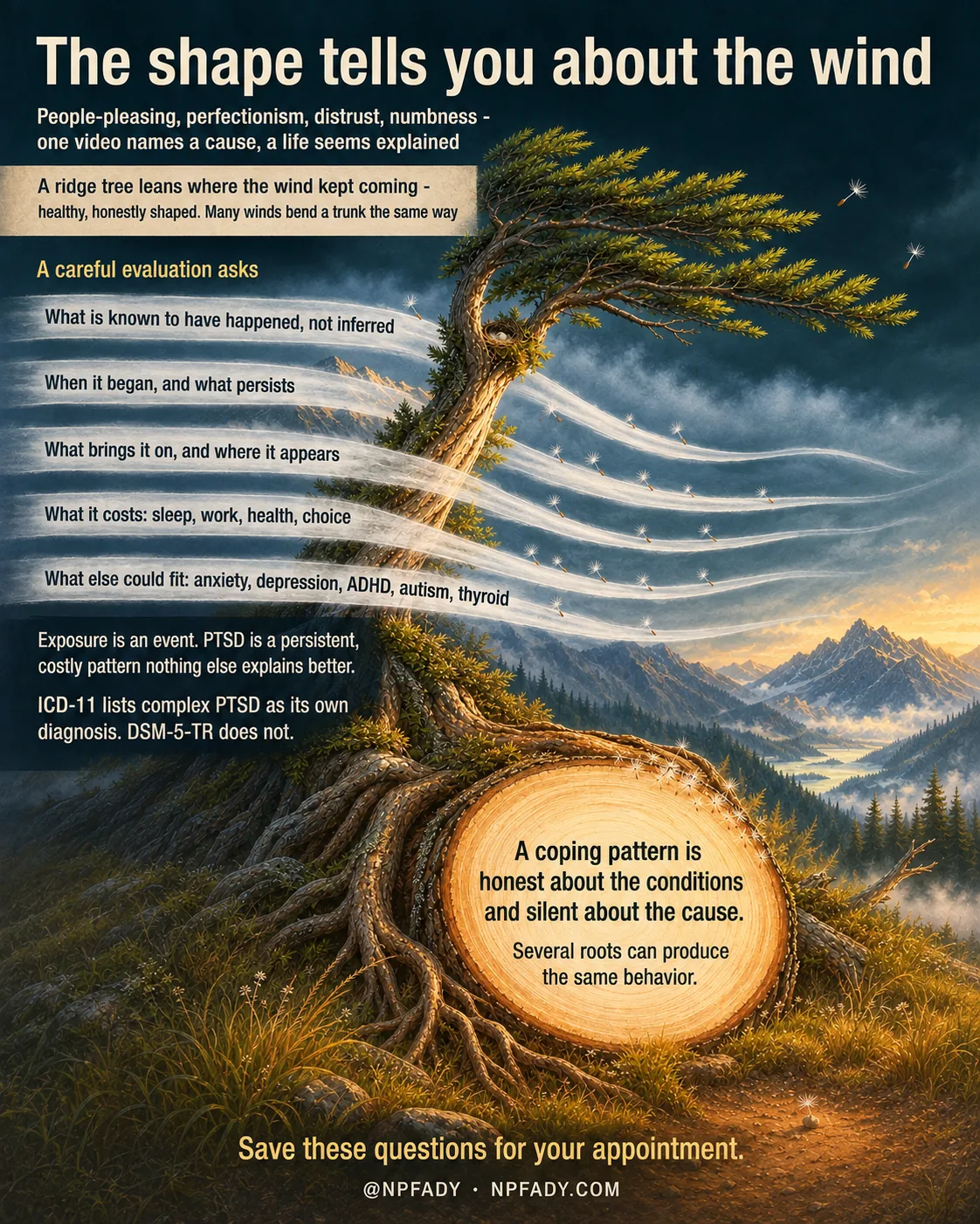 A painted infographic of a conifer on a windy ridge, leaning permanently to one side, teaching that a coping pattern records the conditions it formed under but cannot name its cause. It reads top to bottom: branch tips against cold sky, the leaning trunk, five streaks of wind carrying five questions a careful evaluation asks, and a sunlit cut limb whose growth rings hold the main point. Colour moves from cold slate-blue to warm gold; no numbers appear.