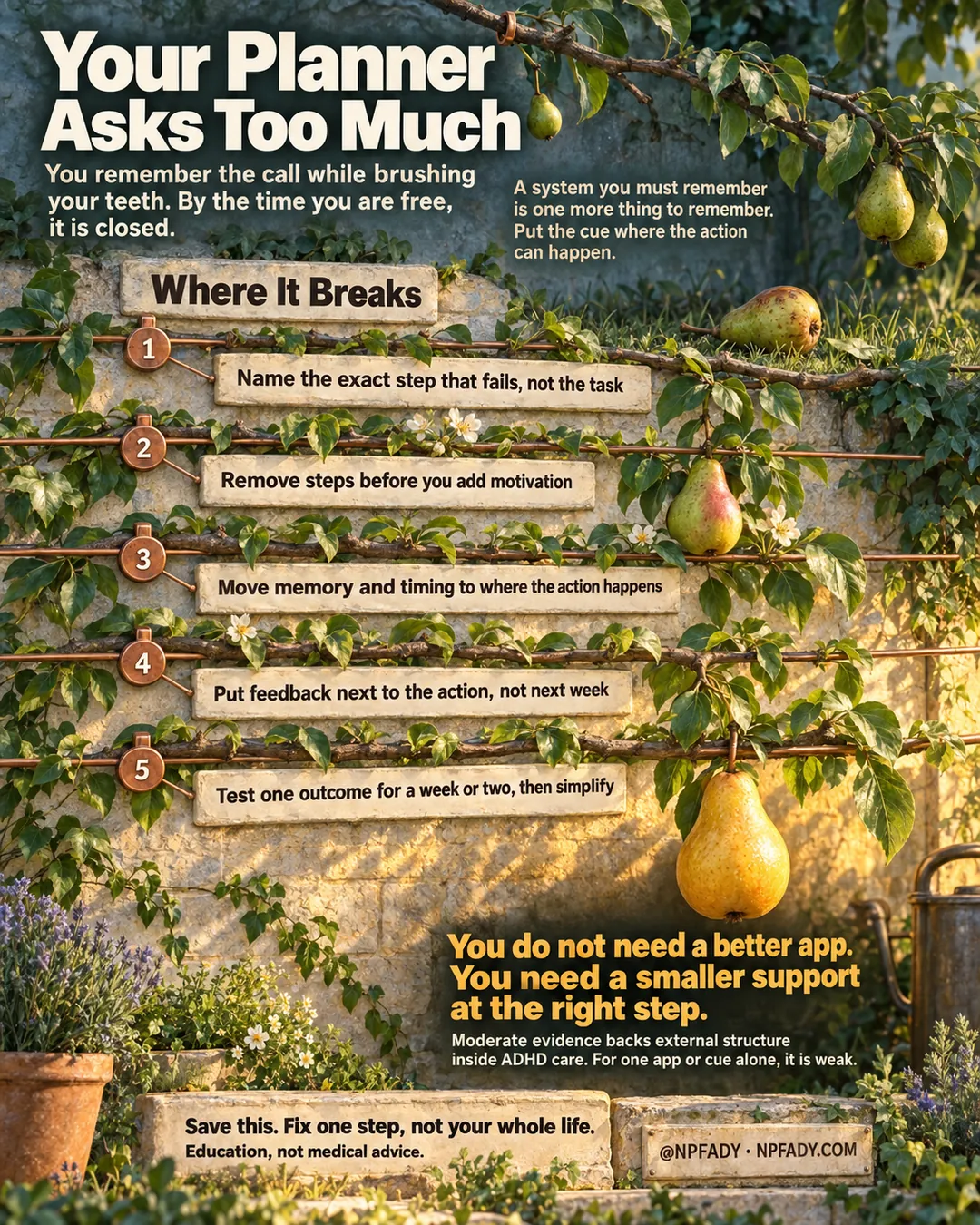 The image is one continuous painted scene of a lime-washed garden wall in evening light with a pear tree trained flat against it on copper wires, a fallen pear in the grass at the top and one ripe golden pear on the lowest wire. Reading top to bottom. Headline: Your Planner Asks Too Much. Context: You remember the call while brushing your teeth. By the time you are free, it is closed. Core idea: A system you must remember is one more thing to remember. Put the cue where the action can happen. Under the heading Where It Breaks, five numbered copper markers on the wires carry five steps: one, name the exact step that fails, not the task; two, remove steps before you add motivation; three, move memory and timing to where the action happens; four, put feedback next to the action, not next week; five, test one outcome for a week or two, then simplify. The highlighted conclusion reads: You do not need a better app. You need a smaller support at the right step. With the qualifier: Moderate evidence backs external structure inside ADHD care. For one app or cue alone, it is weak. Closing lines: Save this. Fix one step, not your whole life. Education, not medical advice. Signed @NPFADY, NPFADY.COM.