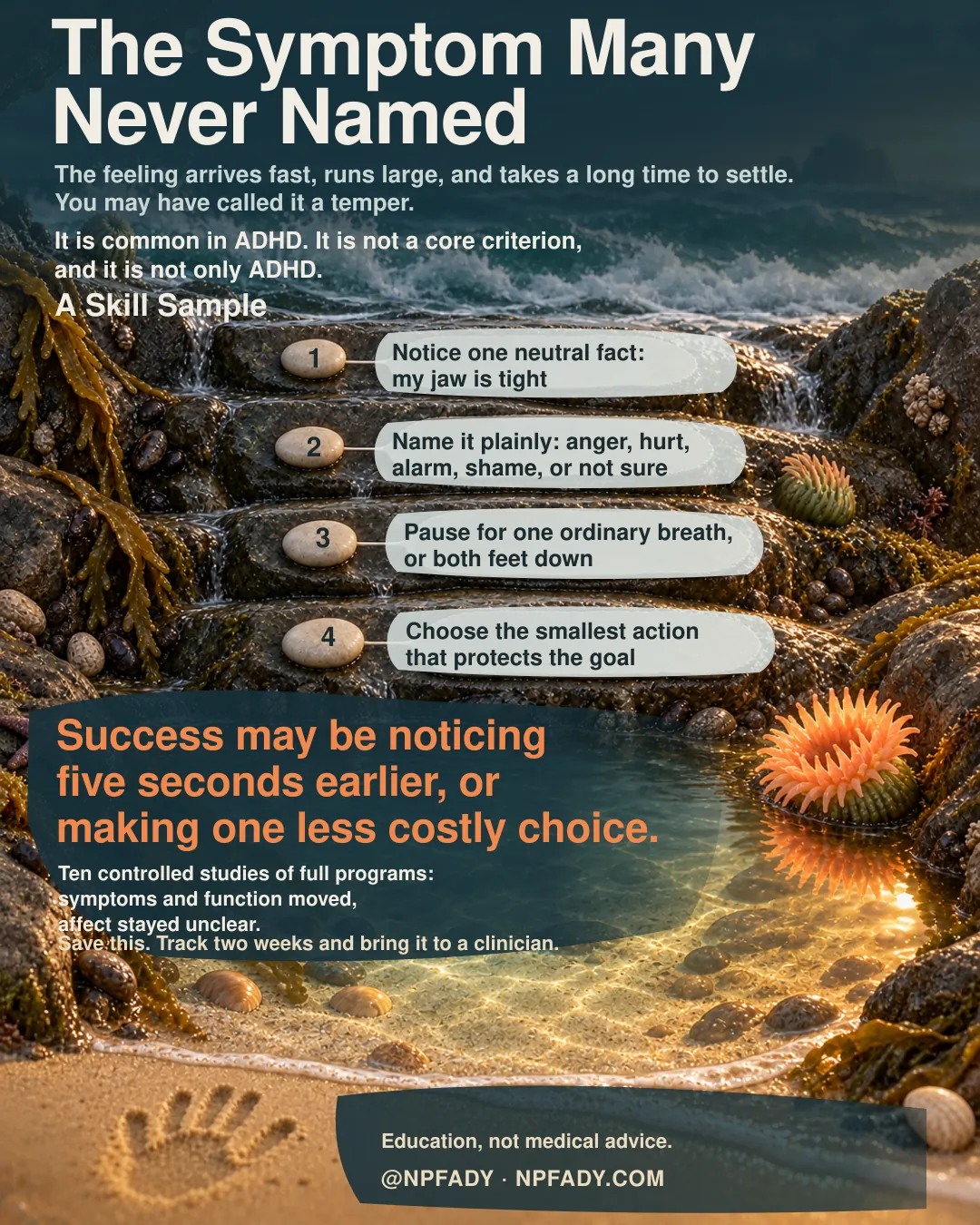 The image is one continuous handmade scene of a coastal rock shelf: cold churning water at the top, four wet stepping stones down the shelf, and a still sunlit tide pool at the bottom with an open coral anemone and a small handprint pressed into the sand. Reading top to bottom. Headline: The Symptom Many Never Named. Context: The feeling arrives fast, runs large, and takes a long time to settle. You may have called it a temper. Core idea: It is common in ADHD. It is not a core criterion, and it is not only ADHD. Under the heading A Skill Sample, four numbered stones carry four steps: one, notice one neutral fact: my jaw is tight; two, name it plainly: anger, hurt, alarm, shame, or not sure; three, pause for one ordinary breath, or both feet down; four, choose the smallest action that protects the goal. The highlighted conclusion reads: Success may be noticing five seconds earlier, or making one less costly choice. With the qualifier: Ten controlled studies of full programs: symptoms and function moved, affect stayed unclear. Closing lines: Save this. Track two weeks and bring it to a clinician. Education, not medical advice. Signed @NPFADY, NPFADY.COM.