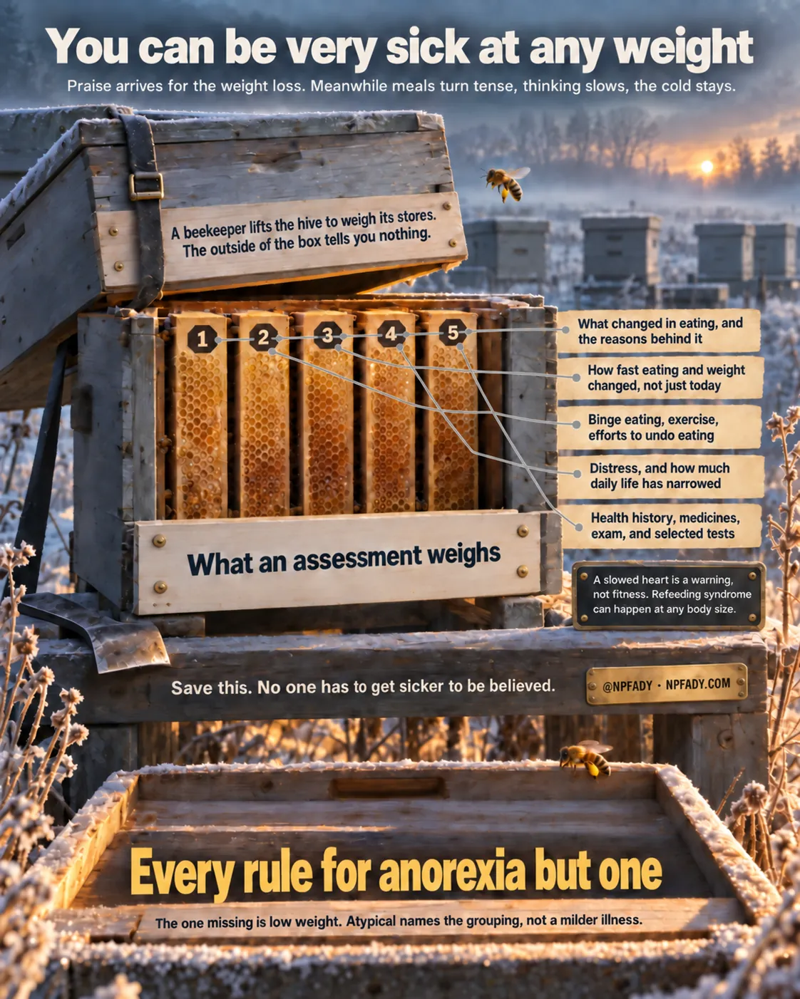 Infographic titled You can be very sick at any weight, staged in a frosted apiary at sunrise with rows of hives behind. An opening line reads: praise arrives for the weight loss, meanwhile meals turn tense, thinking slows, the cold stays. A lifted hive lid carries the comparison: a beekeeper lifts the hive to weigh its stores, and the outside of the box tells you nothing. Inside the hive, five numbered frames head a list called What an assessment weighs. One, what changed in eating, and the reasons behind it. Two, how fast eating and weight changed, not just today. Three, binge eating, exercise, efforts to undo eating. Four, distress, and how much daily life has narrowed. Five, health history, medicines, exam, and selected tests. A small hanging plate warns that a slowed heart is a warning, not fitness, and that refeeding syndrome can happen at any body size. A plate on the hive stand reads: save this, no one has to get sicker to be believed, beside a small brass plate reading at NPFADY and NPFADY.COM. Across the removed hive lid in the foreground, a large gold line reads: every rule for anorexia but one, with a line explaining that the one missing is low weight and that atypical names the grouping, not a milder illness.