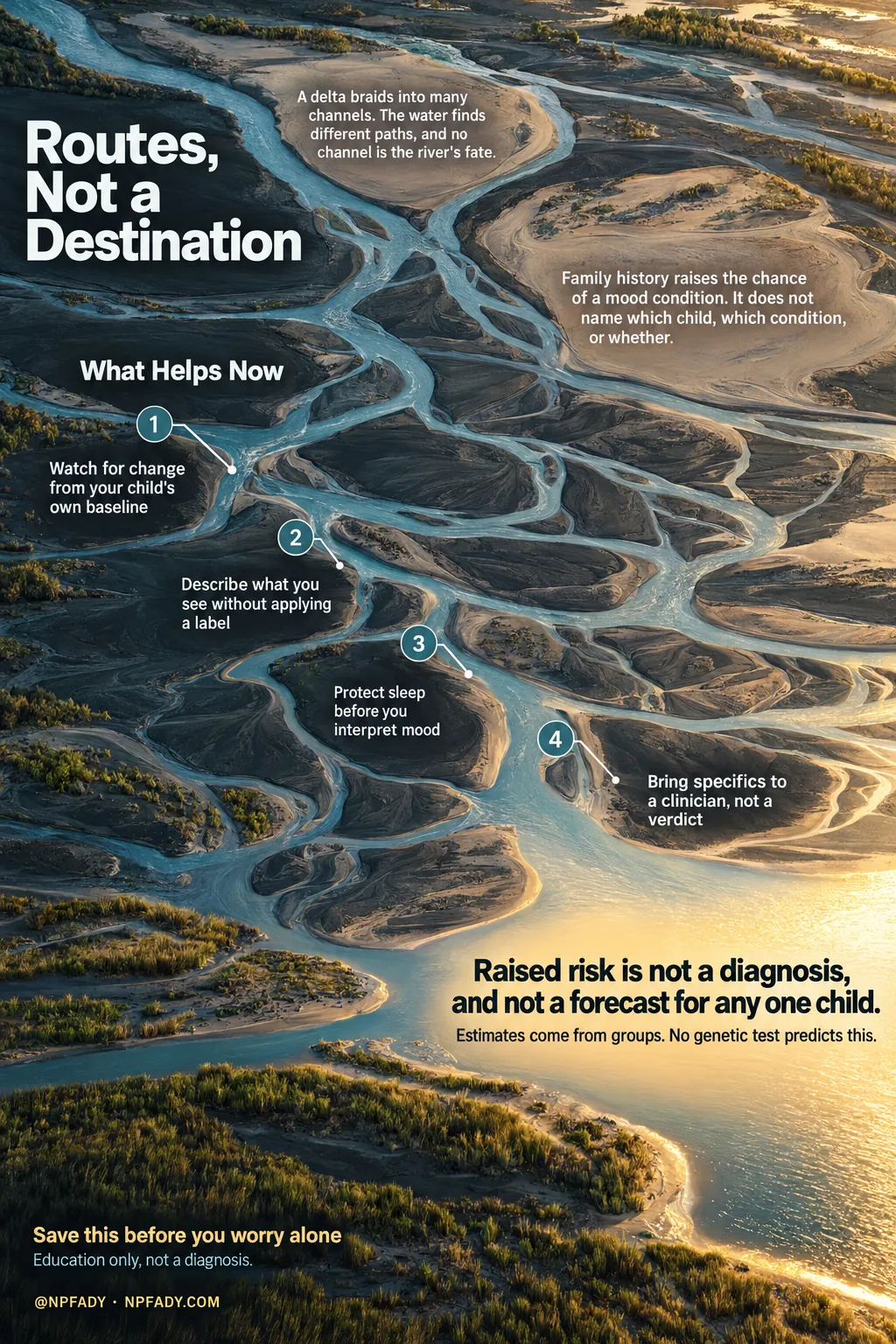 Infographic titled Routes, Not a Destination. A high aerial view of a braided river delta at golden hour, blue channels fanning across dark silt flats toward a sunlit mouth. Text at the top: A delta braids into many channels. The water finds different paths, and no channel is the river's fate. To the right: Family history raises the chance of a mood condition. It does not name which child, which condition, or whether. Under the heading What Helps Now, four numbered markers at channel junctions: One, Watch for change from your child's own baseline. Two, Describe what you see without applying a label. Three, Protect sleep before you interpret mood. Four, Bring specifics to a clinician, not a verdict. At the delta mouth: Raised risk is not a diagnosis, and not a forecast for any one child. Estimates come from groups. No genetic test predicts this. Bottom text: Save this before you worry alone. Education only, not a diagnosis. @NPFADY, NPFADY.COM.